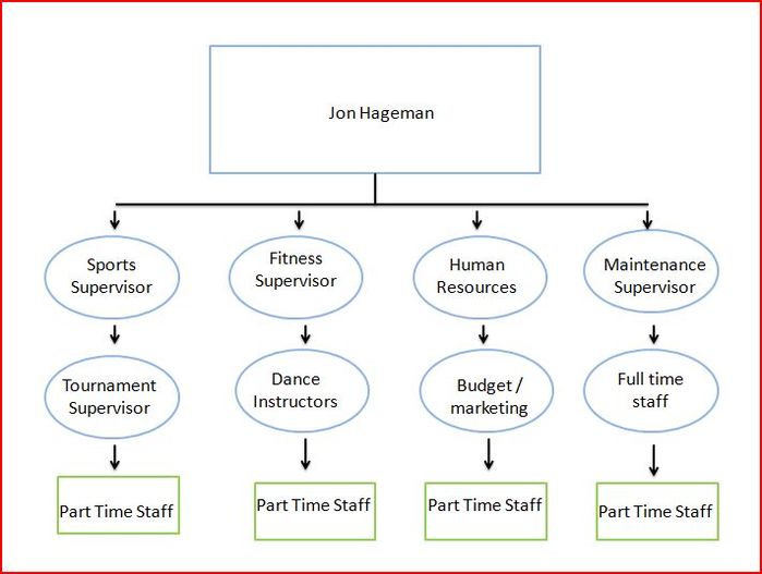 Organizational Chart For Sports Organization